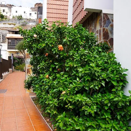 Apartment Breeze, Playa Santiago Playa de Santiago (Isla de la Gomera)